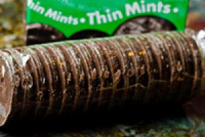 The Fat Mint Cookie