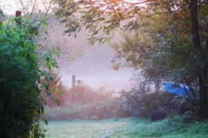 Finding My Place (and Peace) in the October Landscape