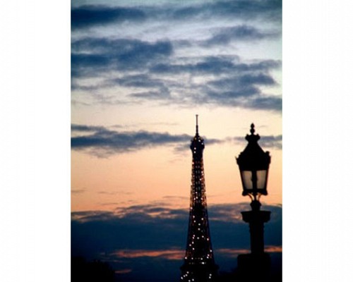 Nov_in_paris19