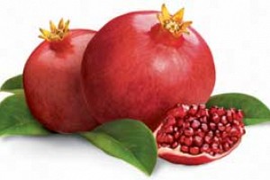 The Pomegranate