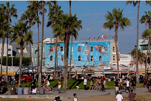 A Day at Venice Beach